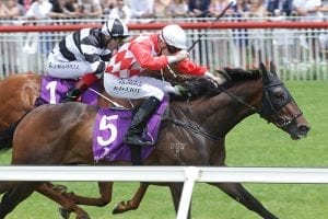 Hypnos developing into a Group 1 contender