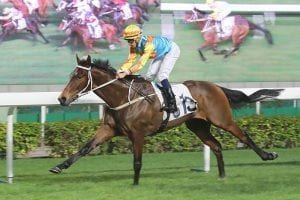 Wide problem for Ka Ying Star, Lor fields five in Hong Kong Classic Mile