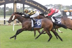 Sires' Produce still target for Probabeel
