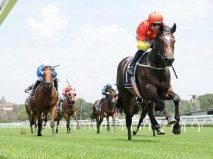 Hightail firms for Magic Millions with win