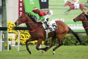 Rising stars Regency Legend and Ugly Warrior in Sha Tin clash