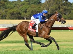 All Too Huiying races to Sandown victory