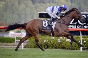 Group 1 target for Kelso-trained Supera
