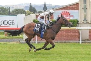 Parsons stable divided on top Guineas seed