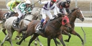 Tarzino Trophy feature image