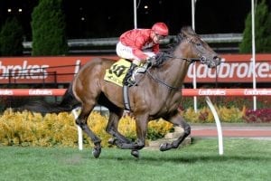 Group 1 homecoming for True Excelsior