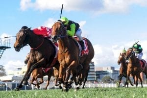 Friday night best bets at Canterbury & Moonee Valley