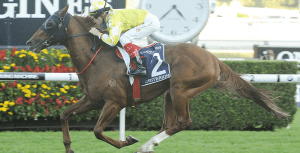 Queen Elizabeth Stakes feature image