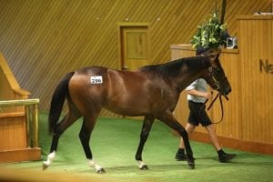 High selling at Easter Yearling sale