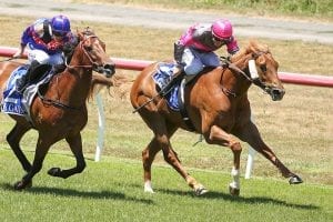 Physicality faces city test in Inglis Dash