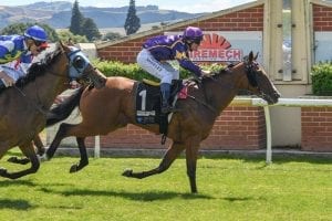 Air Max on track for Guineas cleansweep