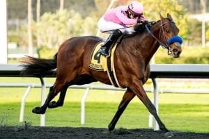 Anothertwistafate becomes latest Scat Daddy sensation in El Camino Real