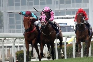 Beauty Generation tunes up for G1 Queen’s Silver Jubilee Cup