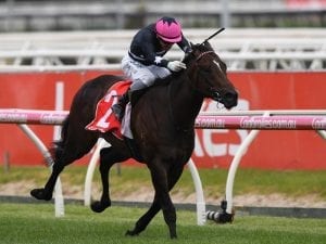 Key gear changes for Blue Diamond runners