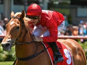 Mertens gets latest chance at first G1 win