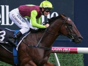 Caulfield treble for Maher-Eustace stable