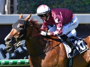 Currie plan works to perfection at Doomben