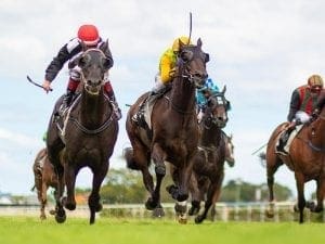 Jeff Lloyd magic a real boost for Emphasis Jeff Lloyd magic a real boost for Emphasis