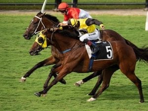 Ingeegoodbe stays the distance at Doomben