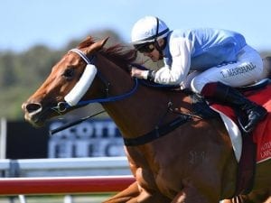 Barriers a worry for trainer Les Ross