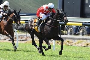 James overjoyed with filly’s progress