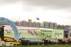 Exultant cements star stayer status in thrilling Citi Hong Kong Gold Cup