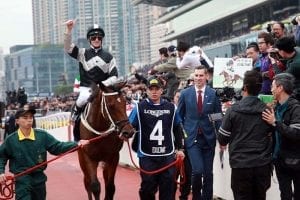Exultant heads to Citi Hong Kong Gold Cup with a championship agenda
