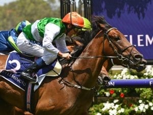 O'Tauto faces biggest test in G3 C S Hayes