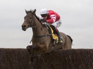 Top jumper Coneygree retired after Ascot