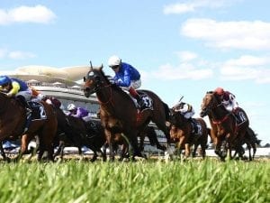 Best Of Days nominated for Blamey Stakes