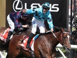 Extra Brut steps out in Cranbourne trial