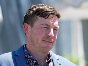 Trainer Ben Currie to seek stay at QCAT