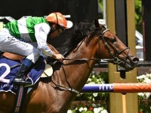 Guineas distance to suit O'Tauto: Eurell