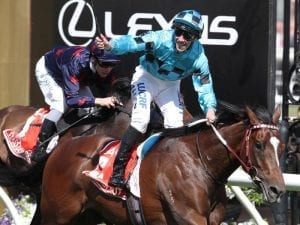Stars Of Carrum on target for G1 Guineas