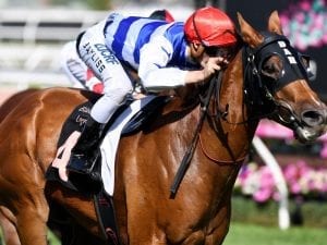 Lindsay Park pair after Orr Stakes honours