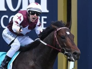 Land Of Plenty moves to the Snowden stable