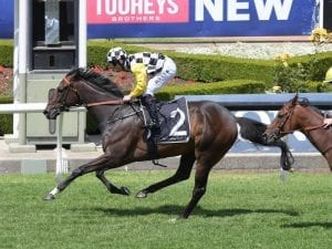 Sky Boy to miss Doncaster Mile with injury