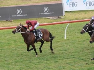 Lightning Stakes doubt for colt Zousain