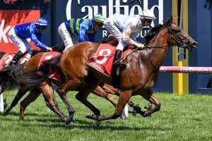Blue Diamond Stakes Day 2019: Tips and betting strategy
