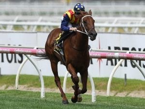 Capacity field to run in G1 Oakleigh Plate