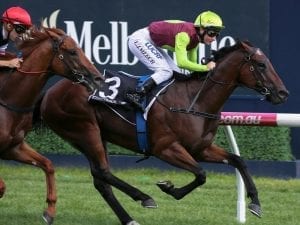 Oakleigh Plate draws against Maher/Eustace