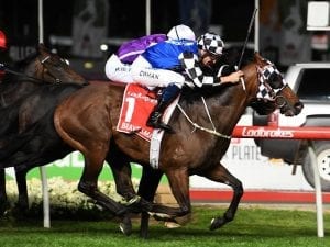 Former Weir horses to race for new stables