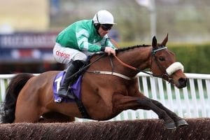 Gold Cup favourite Presenting Percy primed for Red Mills challenge
