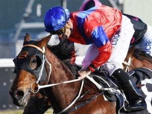 Triscay a Gem of a race for Kris Lees mare