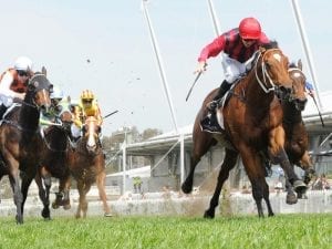Guineas still in the mix for Gem Song
