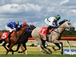 Sandown mid-week betting tips: selections and betting strategy