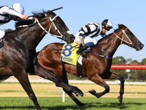 Smart three-year-olds on show at Sandown