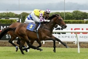 Pike’s Derby prospects eyeing Guineas spoils
