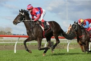 Verry Flash on target for two-mile feature