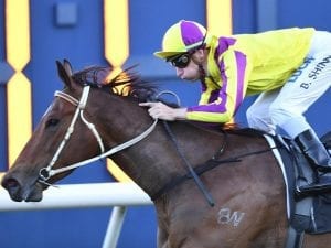 Speedster Super Too poised to bounce back